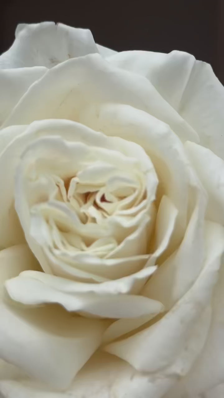 שמלת "ליאנה"